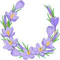 Spring flower wreath of crocuses. Vector elements isolated.