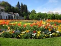 Spring flowergarden with tulips in Baden-Baden, Germany
