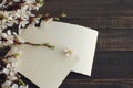 Spring flowering branch and old empty photographs on wooden background. Royalty Free Stock Photo