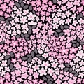 Spring flowering carpet of small delicate white and pink cetched flowers with gray leaves Modern seamless pattern on a black Royalty Free Stock Photo