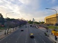 Spring flowering jacaranda in Buenos Aires, Argentina. Metallic