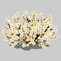 Spring flowering shrub with white flowers. Vector Royalty Free Stock Photo