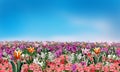 Spring flowers meadow wallpaper blossom watercolor illustration. Floral background. Sunny day. Royalty Free Stock Photo