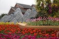 Spring flowers arrangment in Nanning Qingxiu mountain view