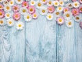 Spring flowers background with copy space Royalty Free Stock Photo