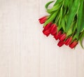 Spring Flowers Background with Netherlandish Tulip Royalty Free Stock Photo