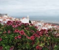 Spring flowers on the background of the panorama of Lisbon Portugal Royalty Free Stock Photo