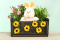 Spring flowers in the basket