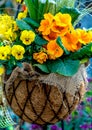 Spring flowers in a basket Royalty Free Stock Photo