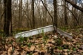 Spring Flowers Begin to Bloom Around Winter Tornado Debris In Mammoth Cave