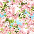 Spring flowers blossom - sakura, cherry, apple and blue sky. Floral seamless pattern. Watercolor Royalty Free Stock Photo