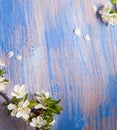 Spring Flowers on the blue background of an old vintage blue board Royalty Free Stock Photo