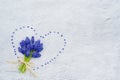 Spring flowers. Blue muscari spring flowers grape hyacinth on white grunge stone background. Top view, flat lay, copy Royalty Free Stock Photo