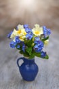 Spring flowers in blue vase. Royalty Free Stock Photo