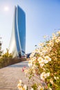 Spring flowers with blurred Modern buildings, Office building background Royalty Free Stock Photo