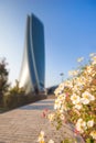 Spring flowers with blurred Modern buildings, Office building background Royalty Free Stock Photo