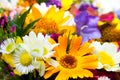 Spring Flowers Bouquet Royalty Free Stock Photo