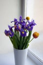 Spring flowers bouquet in glass white vase Royalty Free Stock Photo