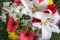 Spring flowers bouquet closeup. Nice gift spring flowers bouquet for Mother`s day, Women`s day or any birthday