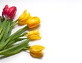 Spring flowers.Bouquet of five tulips on a white background.