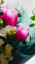 Spring flowers - a bouquet of pink tulips illuminated with soft light