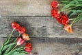 Spring flowers. Bouquet of Red tulips on brown wooden background. Mother& x27;s Day and Valentines Day background Royalty Free Stock Photo