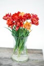 Spring flowers. Bouquet of Red tulips in Glass vase on brown wooden background. Mother& x27;s Day and Valentines Day background Royalty Free Stock Photo