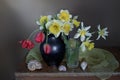 Spring flowers in a bouquet.Still life with tulips and daffodils in a vase Royalty Free Stock Photo