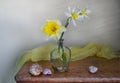 Still life with spring flowers on a gray background . Royalty Free Stock Photo