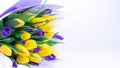 Spring flowers. Bouquet of tulips with blue irises isolated on white background. Royalty Free Stock Photo