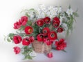 Spring flowers.Bouquet of yellow daffodils and red tulips in a vase on a white background Royalty Free Stock Photo
