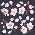 Set of twigs with spring flowers of fruit trees. Realistic , vector hand-drawn flowers