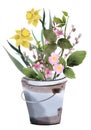 Spring flowers in a bucket garden illustration elements set happy springtime
