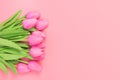 Spring flowers bunch of pink tulips on the pink background with free space for text.