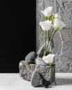 spring flowers with bunch rocks assortment. High quality photo Royalty Free Stock Photo