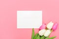 Spring flowers bunch of white and pink tulips on the pink background with plank greeting card.