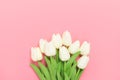 Spring flowers bunch of white tulips on the pink background with free space for text.