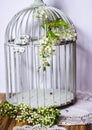 spring flowers cage romantic diary shabbychic Royalty Free Stock Photo