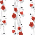 Seamless pattern of red flowers of poppies on a white background. Watercolor Royalty Free Stock Photo
