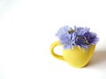 Spring flowers in a ceramic cup on a white background, space for text Royalty Free Stock Photo