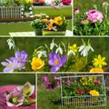 Spring flowers collage Royalty Free Stock Photo