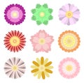 Colorful spring flowers collection set isolated on  white background Royalty Free Stock Photo