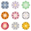 Colorful spring flowers collection set isolated on  white background Royalty Free Stock Photo