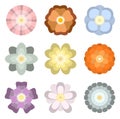 Colorful spring flowers collection set isolated on  white background Royalty Free Stock Photo