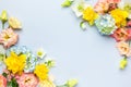 Spring Flowers composition on pastel blue background. Floral concept for Easter, Woman`s day or Valentine`s day