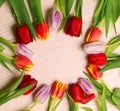 Spring flowers on the wooden background.Top view colorful tulips  on a wooden surface. Copy space Royalty Free Stock Photo