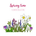 Spring flowers crocus, scilla, primula