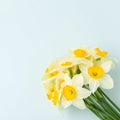 Spring flowers daffodil bouquet - top view of white narcissus on blue pastel background with copy space. Royalty Free Stock Photo