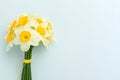 Spring flowers daffodil bouquet - top view of white narcissus on blue pastel background with copy space. Royalty Free Stock Photo