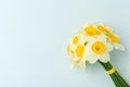 Spring flowers daffodil bouquet - top view of white narcissus on blue pastel background with copy space. Royalty Free Stock Photo